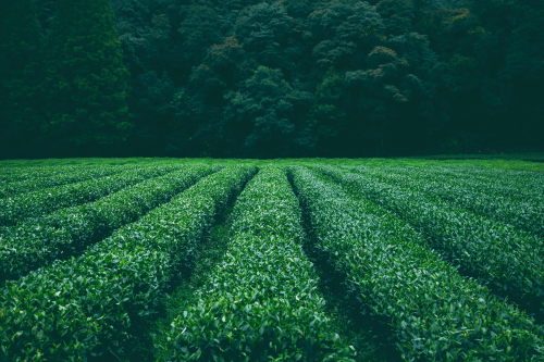 scheduled-event-cover